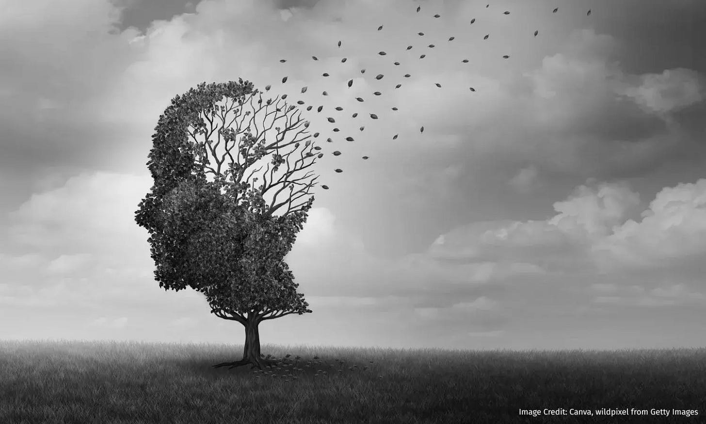 The Long Forgetting: Inside India’s Dementia Emergency