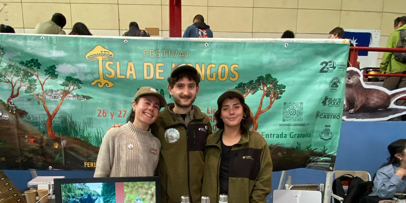 Temporada Fúngica 2025 en Parque Tepuhueico