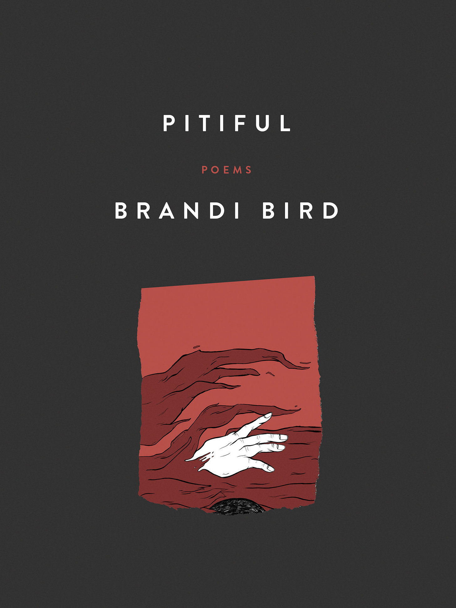 Pitiful Poems by Brandi Bird