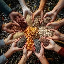 Free Hands Holding Seeds Image ...