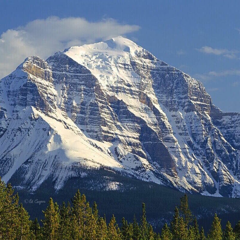 Artwork for William’s Substack