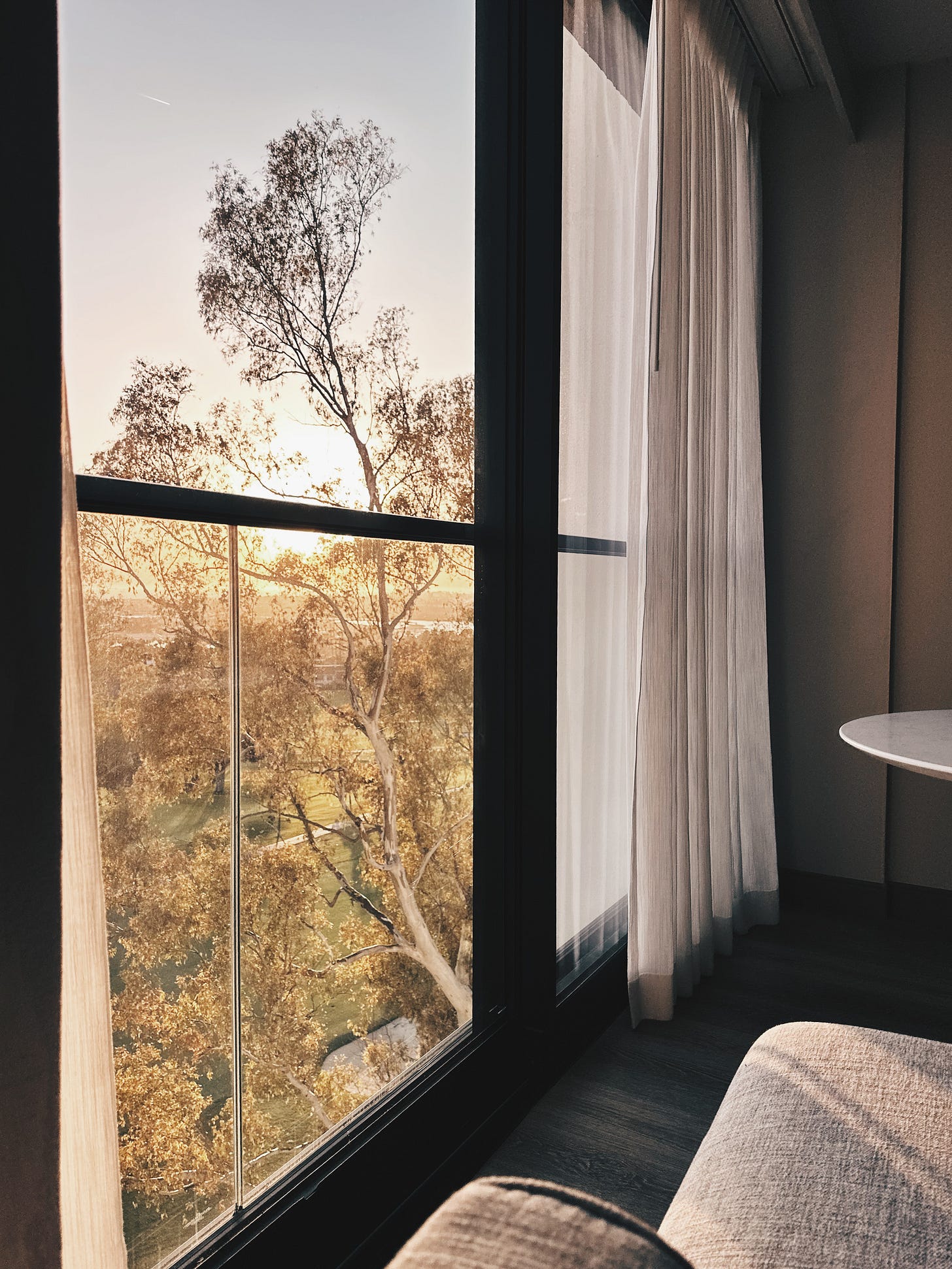 Golden hour light filtering through window at VEA Newport Beach hotel room with view of trees and golf course