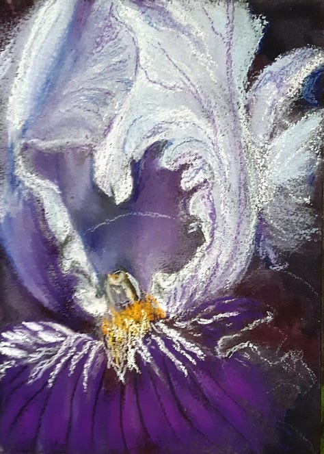 L-r, a white iris with purple stripes, a purple iris, a close up of a white iris looking down inside