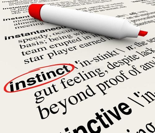 Instinct word circled with its definition on a dictionary page to illustrate a gut feeling beyond knowledge or facts and information. Instinct word circled with its definition on a dictionary page to illustrate a gut feeling beyond knowledge or facts and information