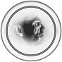 A. A. Rosetti's avatar