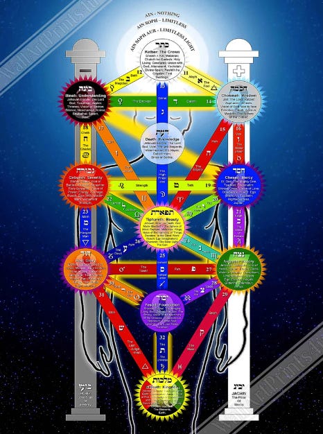 The Tree of Life diagram Lian referred to during the episode.