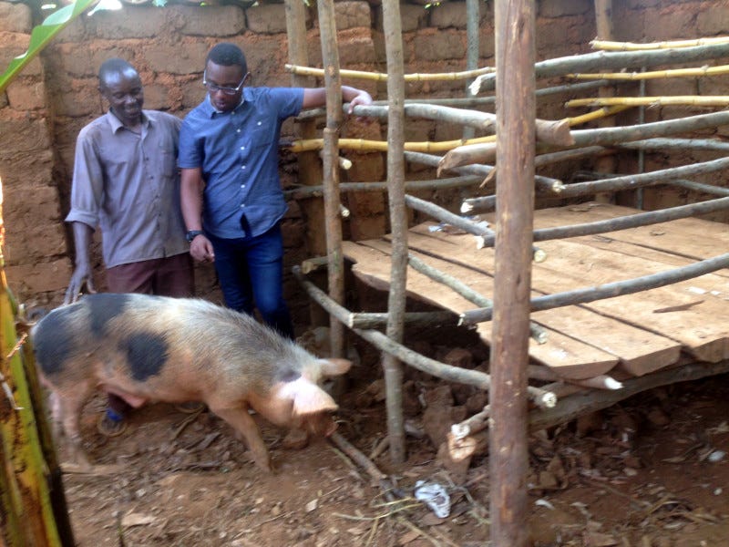 Herve Tuyishime founded Rwanda-based Paniel Meat Processing in 2012. Herve Tuyishime founded Rwanda-based Paniel Meat Processing in 2012.
