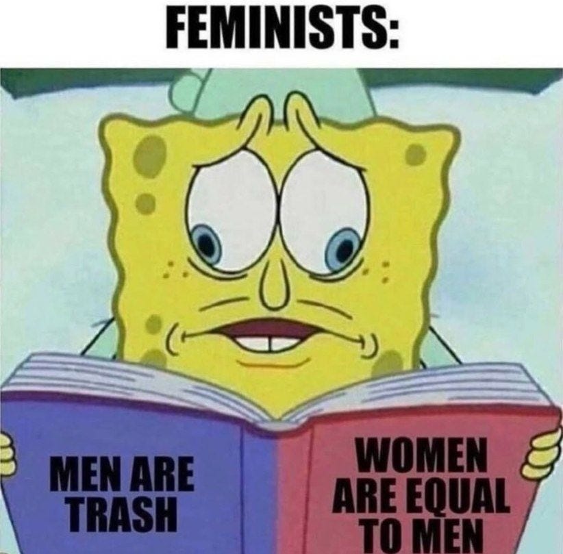 Feminists - meme