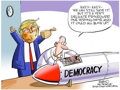 Political Cartoon U.S. Trump Democracy Under Pressure | The Week Political Cartoon U.S. Trump Democracy Under Pressure | The Week