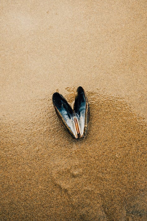 Fuji photographs of life by Tyler Knott Gregson