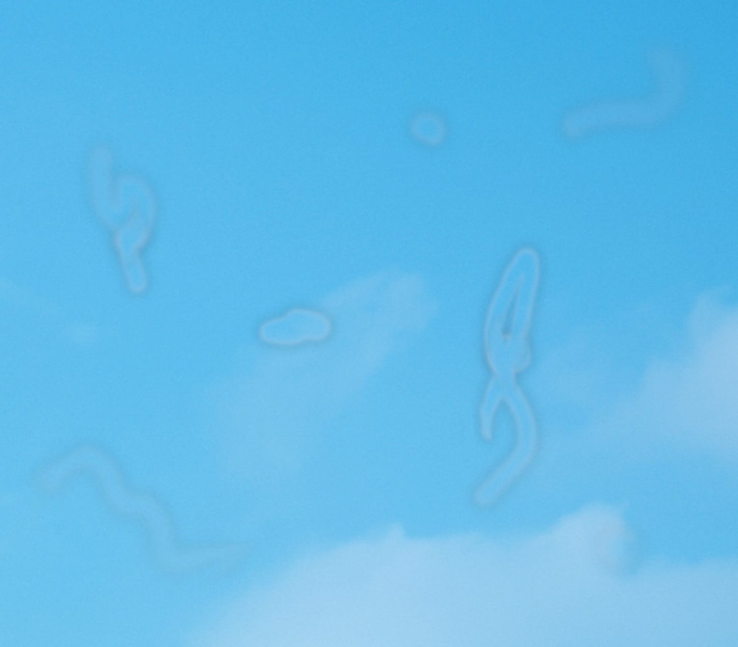 Floater - Wikipedia
