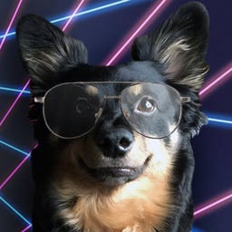 Not Not a Mommy Blog