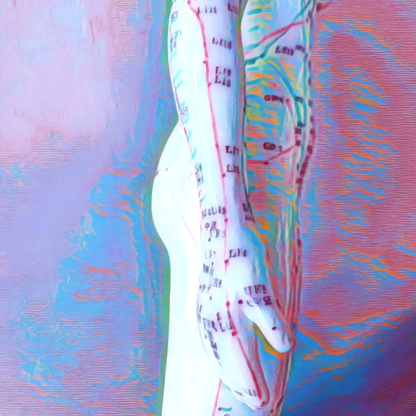 brightly colored illustration of the arm of an acupuncture manikin
