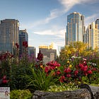 Bee Hotels, Bordeaux & Biodiversity - Definitely Worth the Buzz