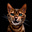 Hailey. P. Foss's avatar