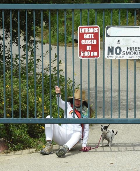 Andie MacDowell along with daughters Rainey and Margaret Qualley crawl under gate of LA park