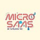 MicroSaaS Movement