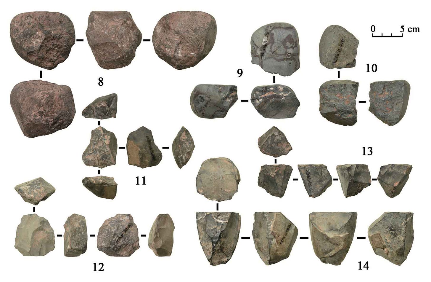 Selection of stone cores from Bianfu Cave Selection of stone cores from Bianfu Cave