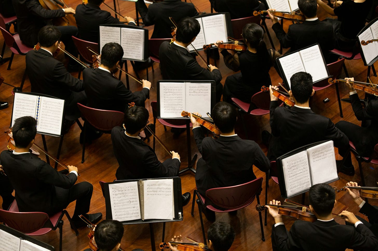 group of person playing violin group of person playing violin
