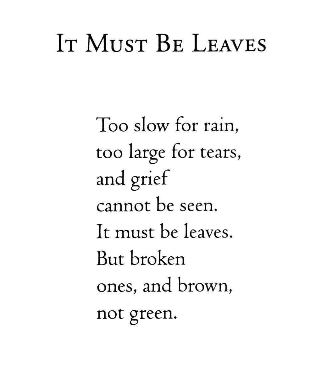 Dr. Maya C. Popa on X: "Jane Hirshfield: https://t.co/yClI0bf0Wb" / X