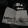 Field Journal