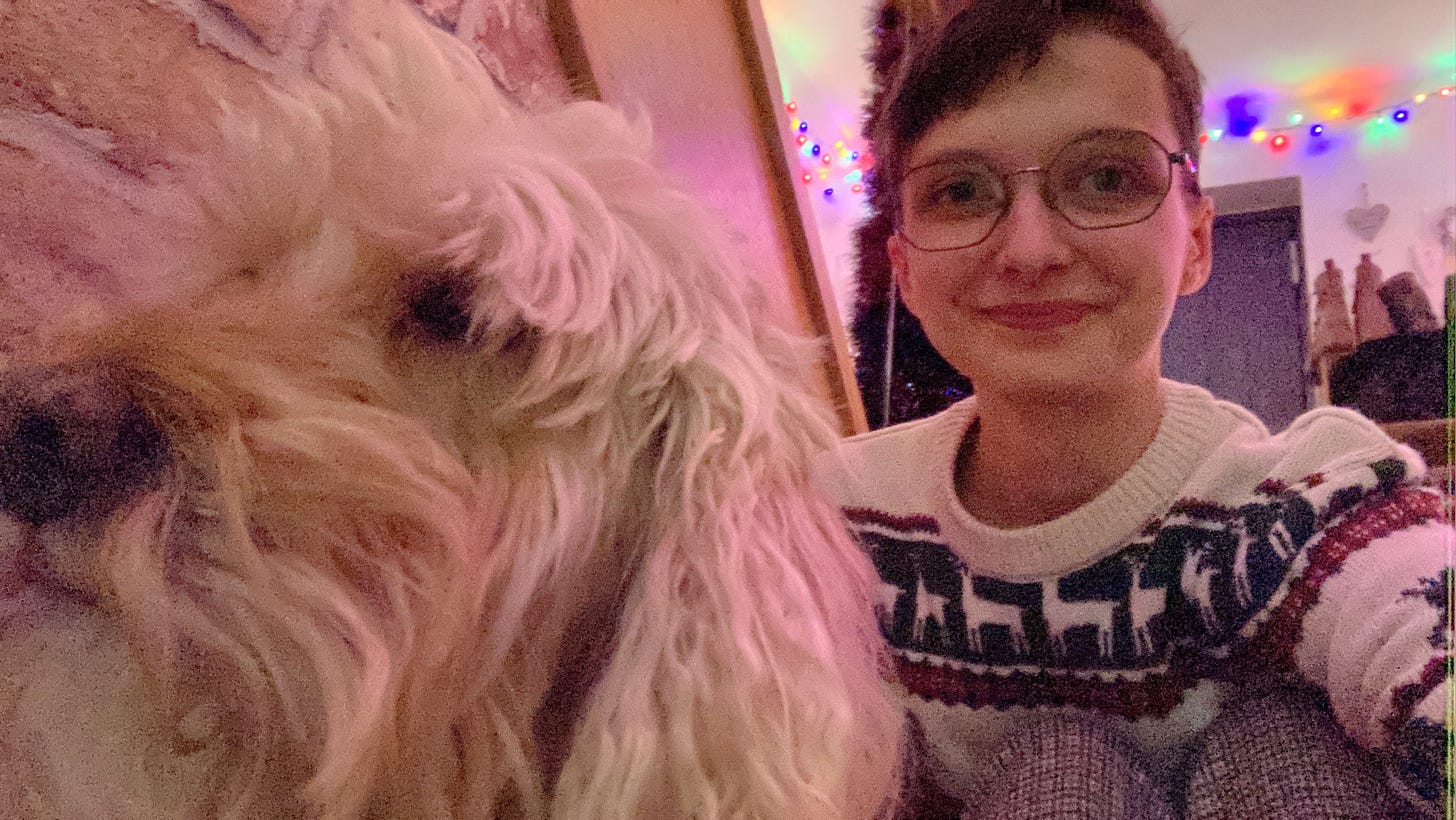 Selfie of Beck and Gibbs, a golden cockapoo, sitting by some stairs inside a home decorated with colourful christmas fairy lights. Beck is wearing a christmas jumper, while gibbs is wearing a rather grumpy expression.