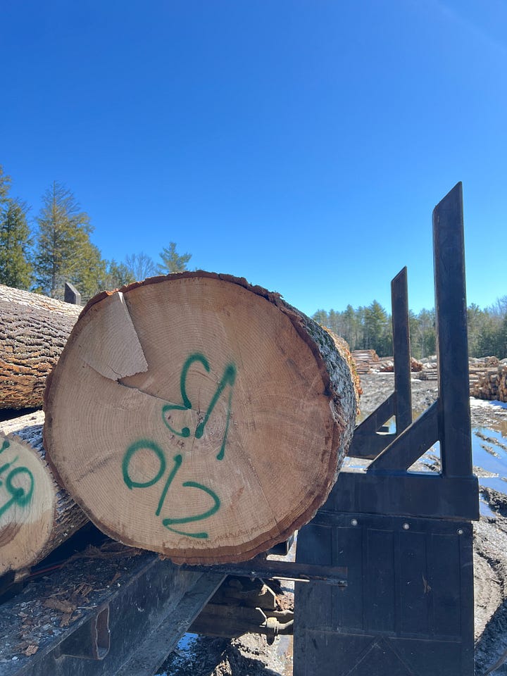 Log yard language: 21" at small end, 10' long - "210" & V3 means it is clear except for an issue or two.