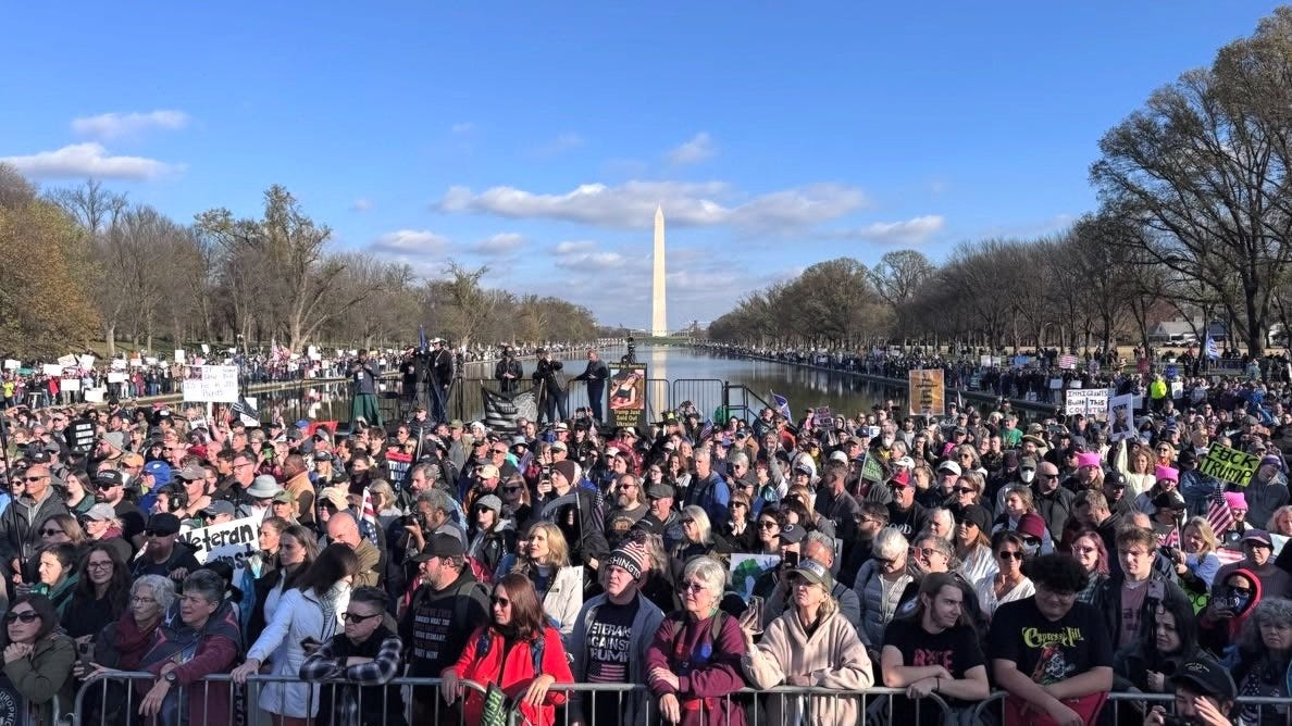 Large crowd of people in Washington DC protesting.