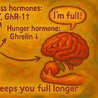 The Complete Protein Guide for Women Over 40: The Science You Need to Know