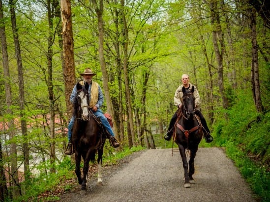 Traveling through the beautiful mountains of Kentucky