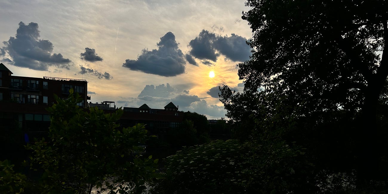 Sun's Suicide