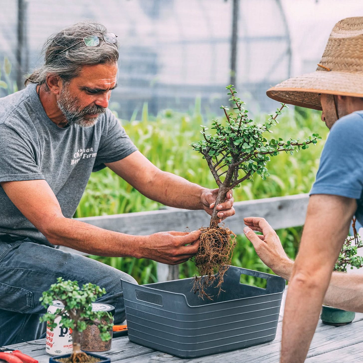 May be an image of 2 people and seedlings