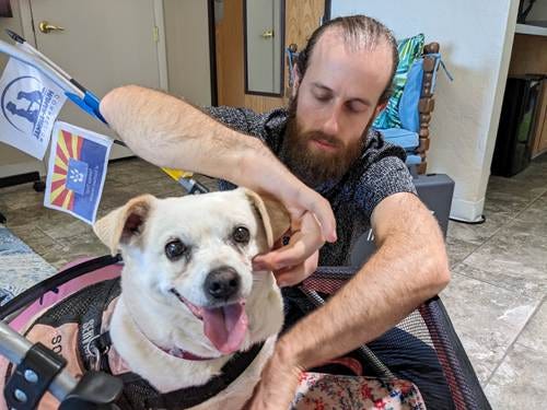 A person petting a dog

AI-generated content may be incorrect.