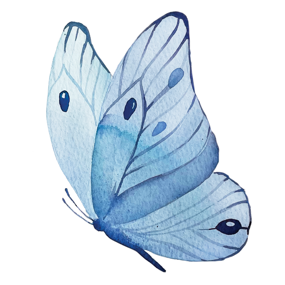 Lletres Voladores \ud83e\udd8b