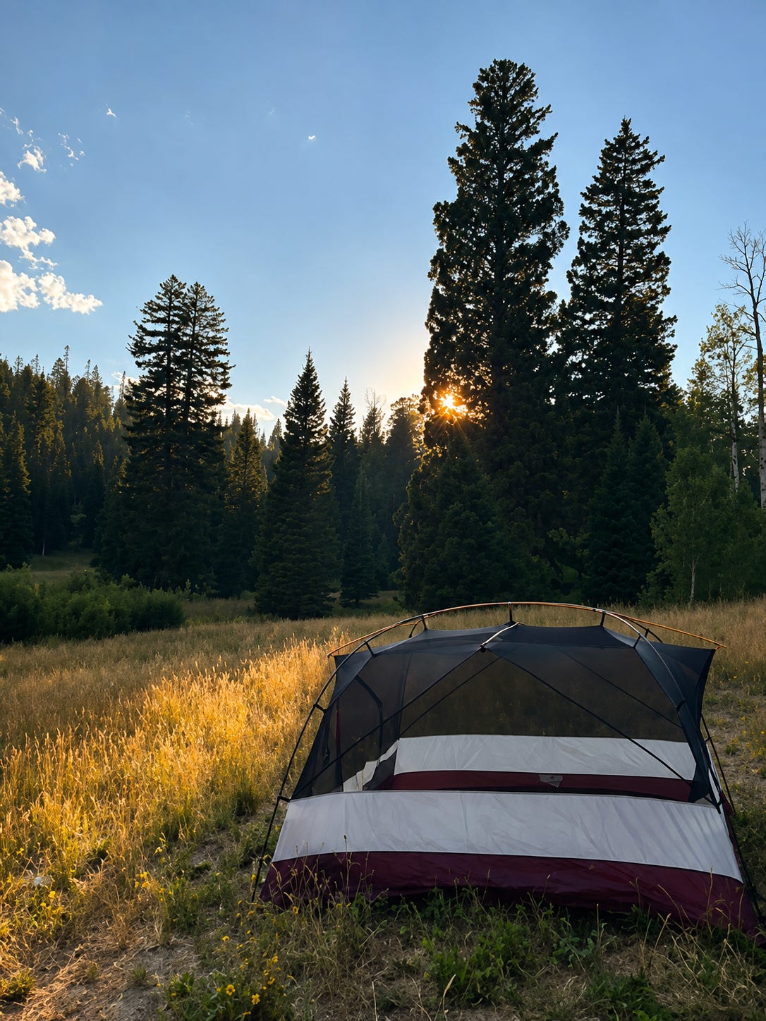 Colorado summer tent campsite