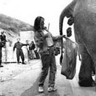 Texas GOP Will Literally And Non-Metaphorically Ban Critical Thinking In Schools