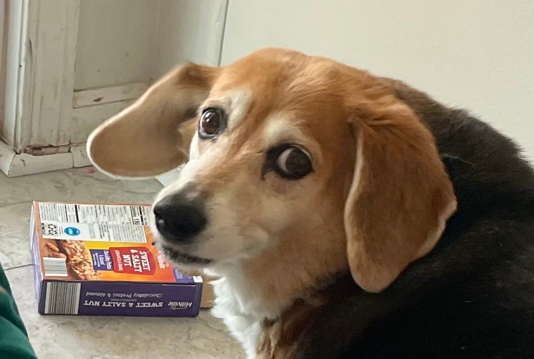 Through a Hedge Backward