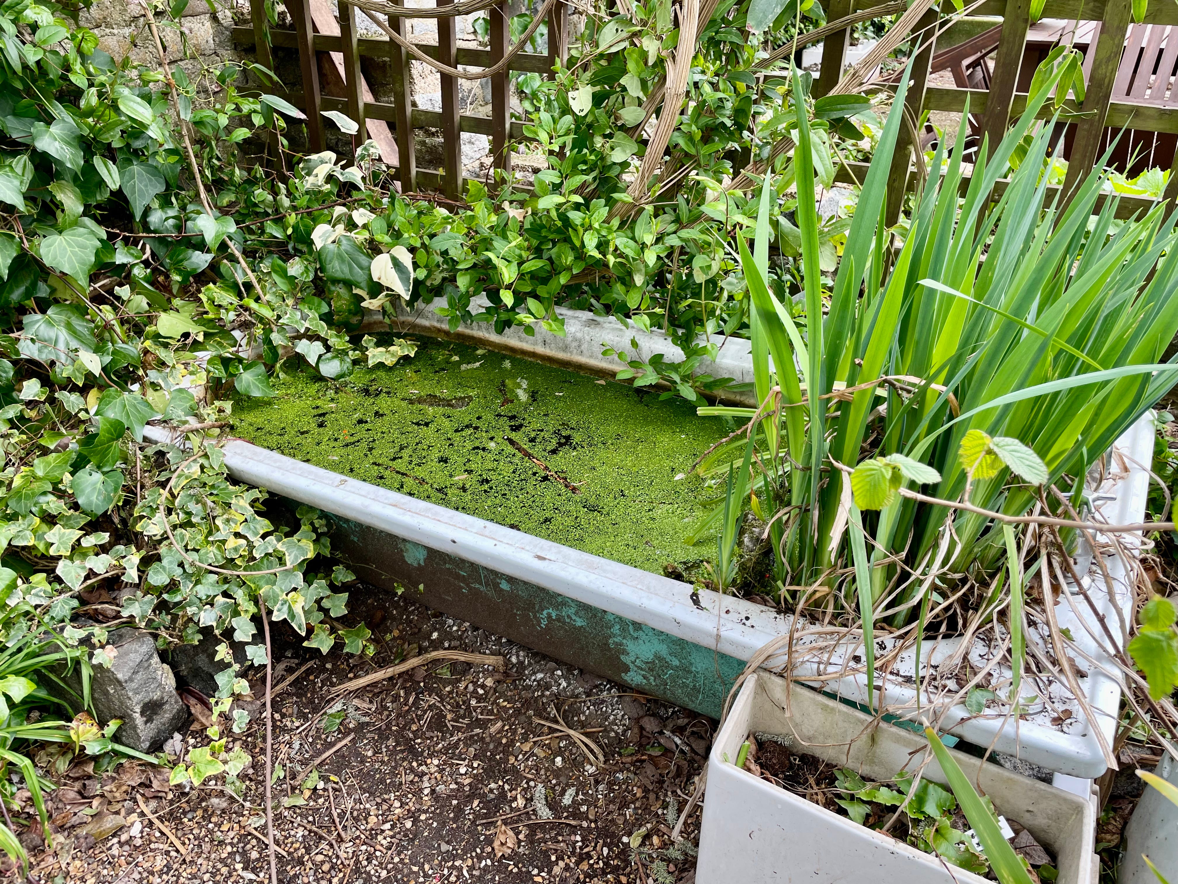 Bee Happy, image size:4032x3024