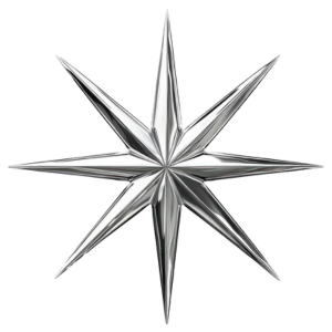 silver 8-pointed star