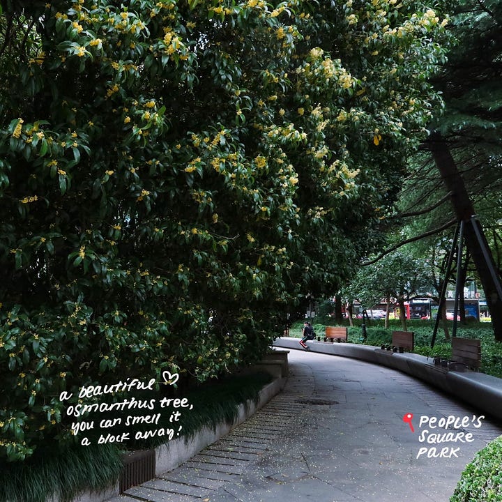 People's Square Park