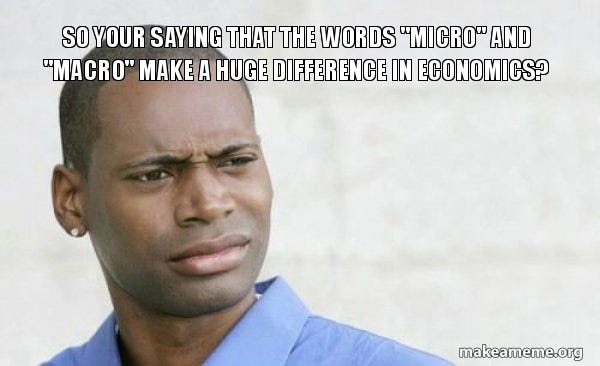 So your saying that the words "micro" and "macro" make a huge difference in  economics? - Confused Black Man Meme Generator
