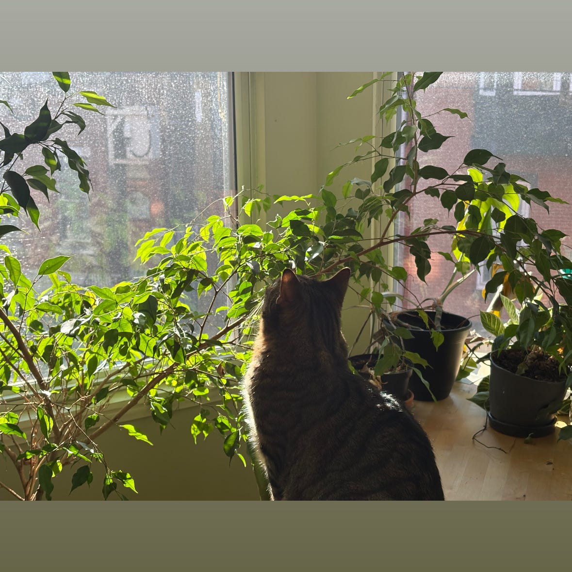 Tre(nton) Makes The World Takes