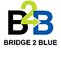 Bridge2Blue's avatar