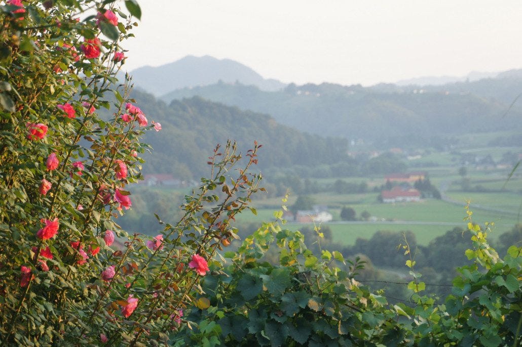 Slovenian valley Slovenian valley