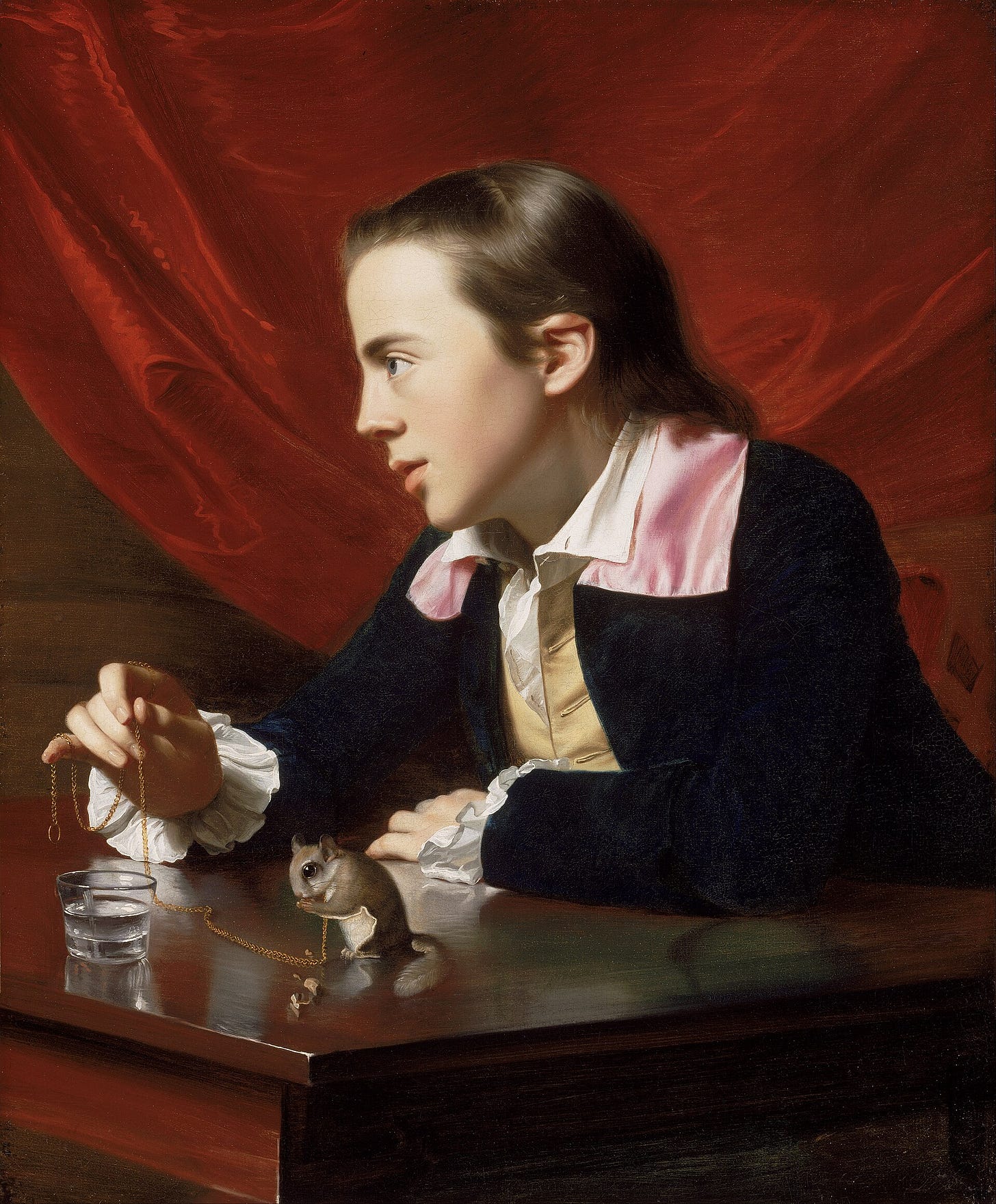 John Singleton Copley, A Boy with a Flying Squirrel (Henry Pelham), 1765. Museum of Fine Arts, Boston. John Singleton Copley, A Boy with a Flying Squirrel (Henry Pelham), 1765. Museum of Fine Arts, Boston.