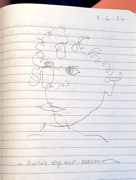 9 self portraits made as blind contour drawings, black ink on white paper, with faces askew; in one, the chin is shifted to the left so it looks like there's only half, in another the neck intersects with the chin in a way that it looks like a chin hair; in a third, the hair is completely off the head and instead is like a curtain in front of the face. They're cubist, cartoonish, strange and somehow beautiful