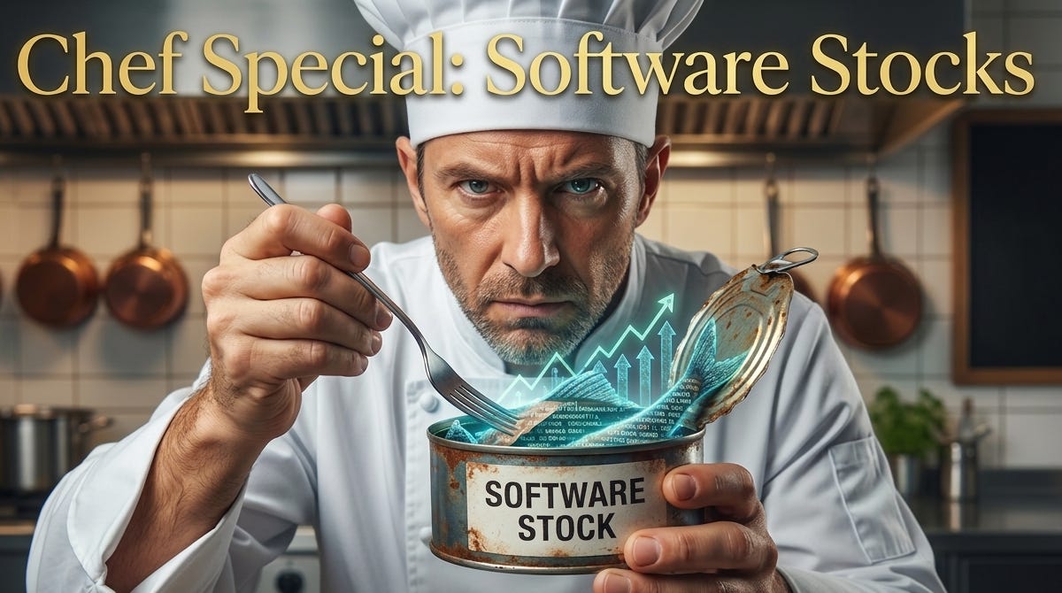 Chefs Special: Software Stocks - The Fond Investor