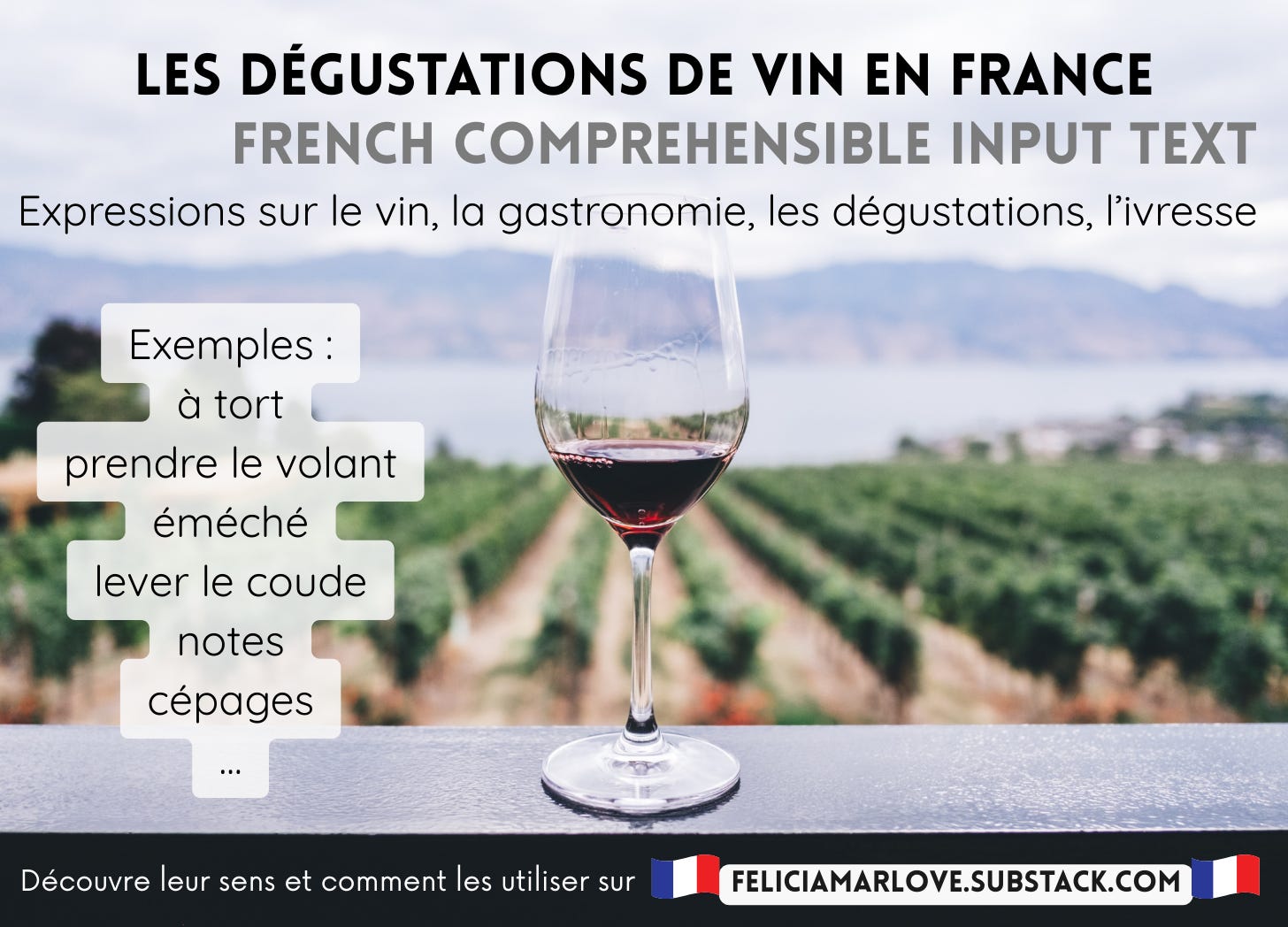 Les dégustations de vin en France