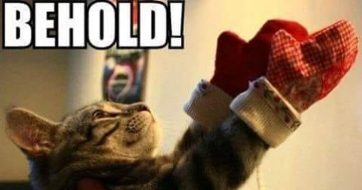 Behold! - Cat Meme Of The Decade - lol | cat memes | funny cats | funny cat pictures with words on them | funny pictures | lol cat memes | lol cats Behold! - Cat Meme Of The Decade - lol | cat memes | funny cats | funny cat pictures with words on them | funny pictures | lol cat memes | lol cats