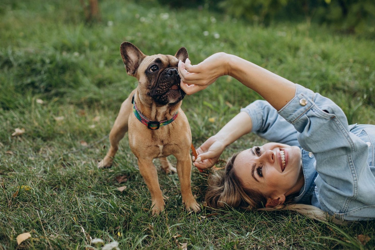 Laços emocionais entre cães e humanos realmente existem. Laços emocionais entre cães e humanos realmente existem.